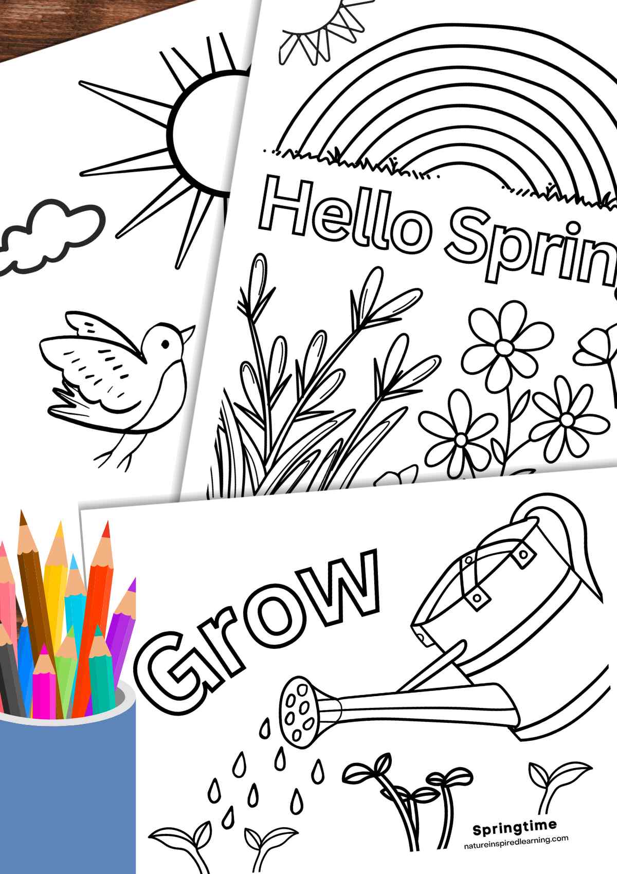 Beautiful spring coloring pages