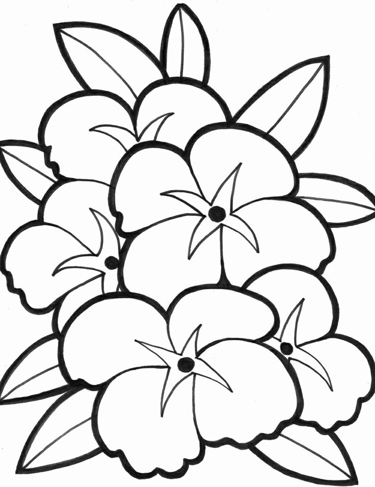 Coloring pages spring flowers coloring page elegant easy flower coloring pages coloring home of spring flowers coloring page