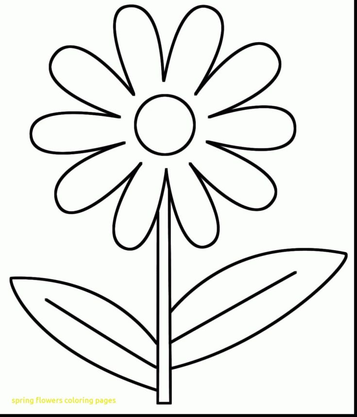 Creative photo of spring flowers coloring pages