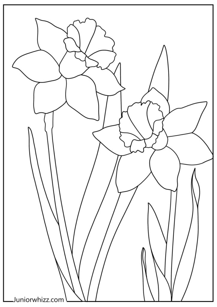 Spring flowers coloring pages printable pdfs