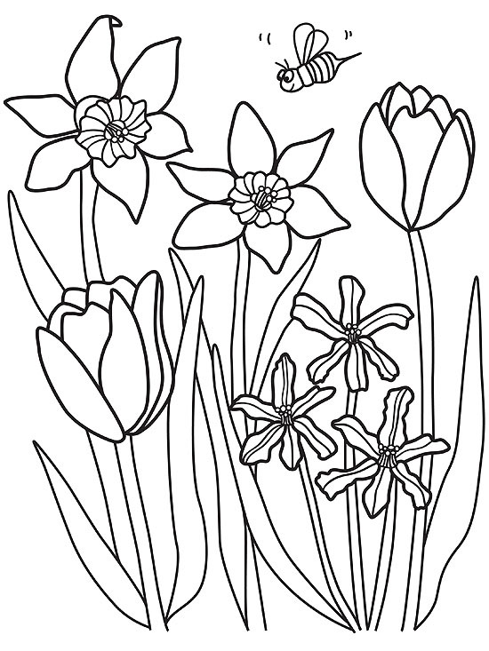 Coloring pages printable spring coloring pages