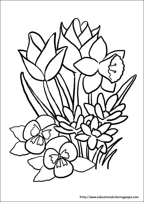 Spring coloring pages free for kids