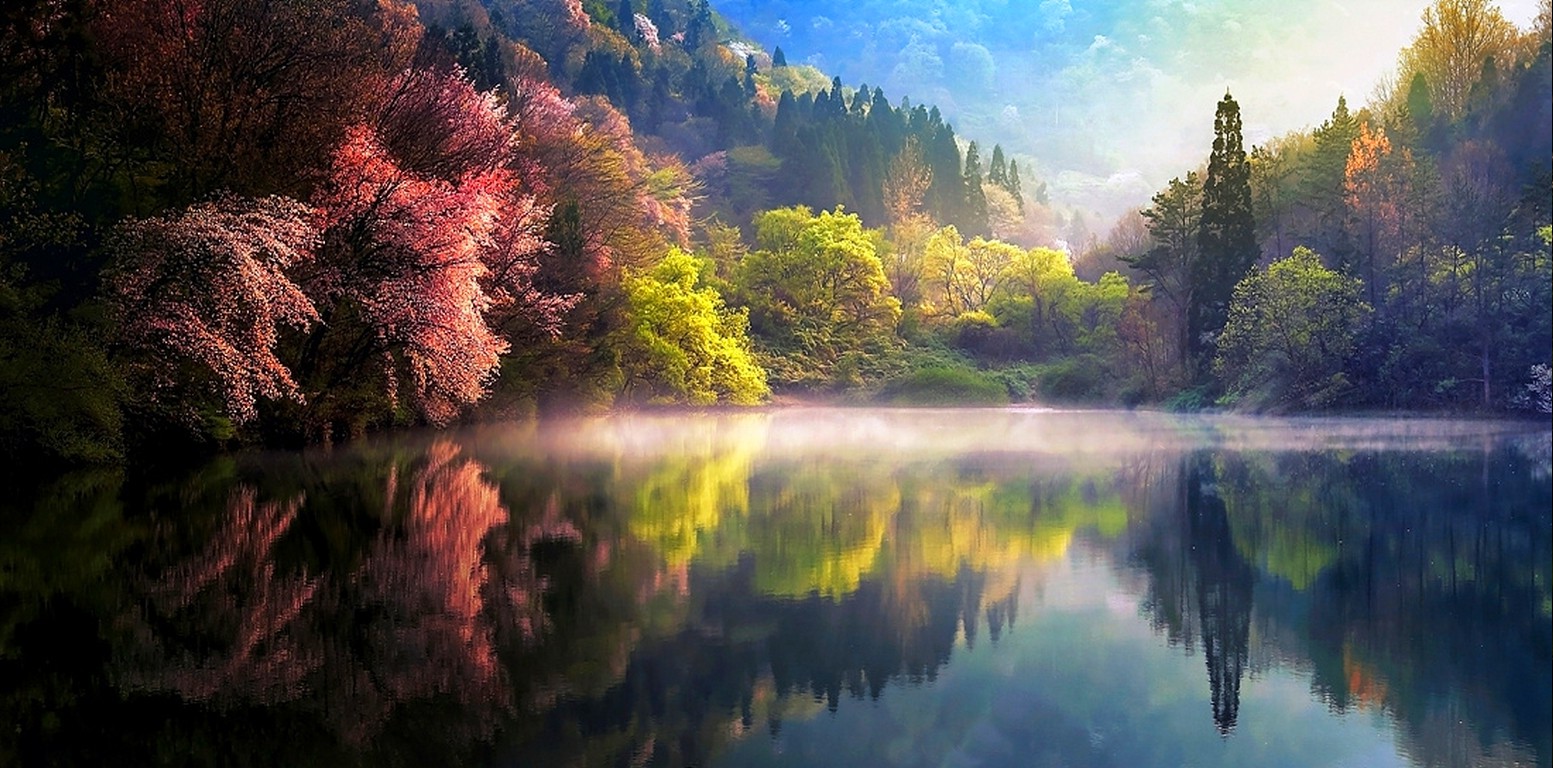 Nature spring sunrise mist lake trees reflection forest landscape hill water colorful south korea wallpapers hd desktop and mobile backgrounds