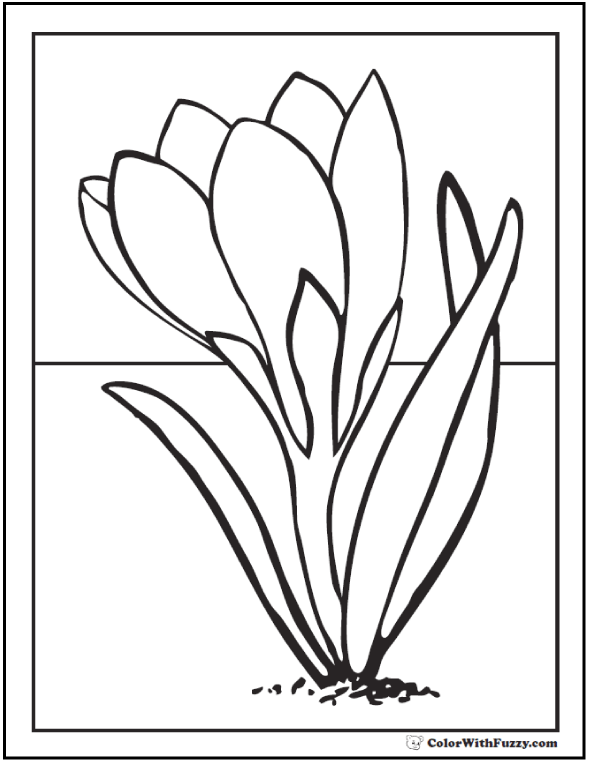 Spring flowers coloring page â spring digital downloads
