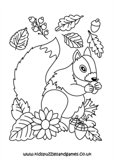 Autumn squirrel louring page