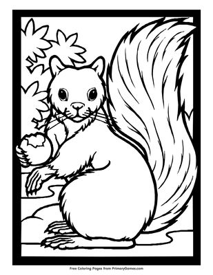 Squirrel coloring page â free printable pdf from