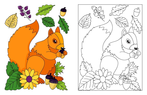 Premium vector cute squirrel eating acorns seeds flowers leaves autumn fall season coloring illustration pages
