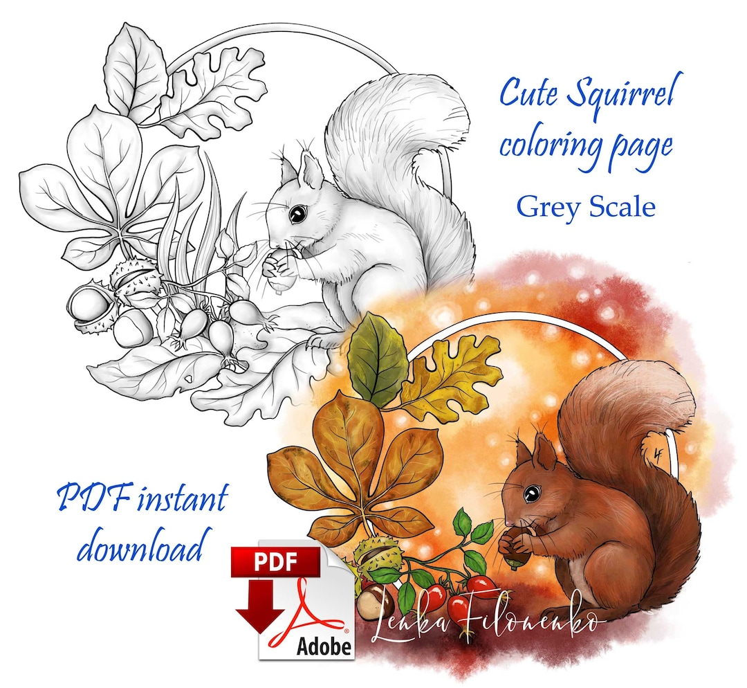 Coloring page grey scale cute squirrel autumn fall pdf download and print