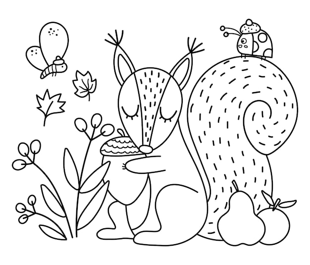 Premium vector black and white squirrel with acorn insects fruits vector outline autumn scene with adorable animal fall season woodland scenery or coloring page funny forest line illustrationxa