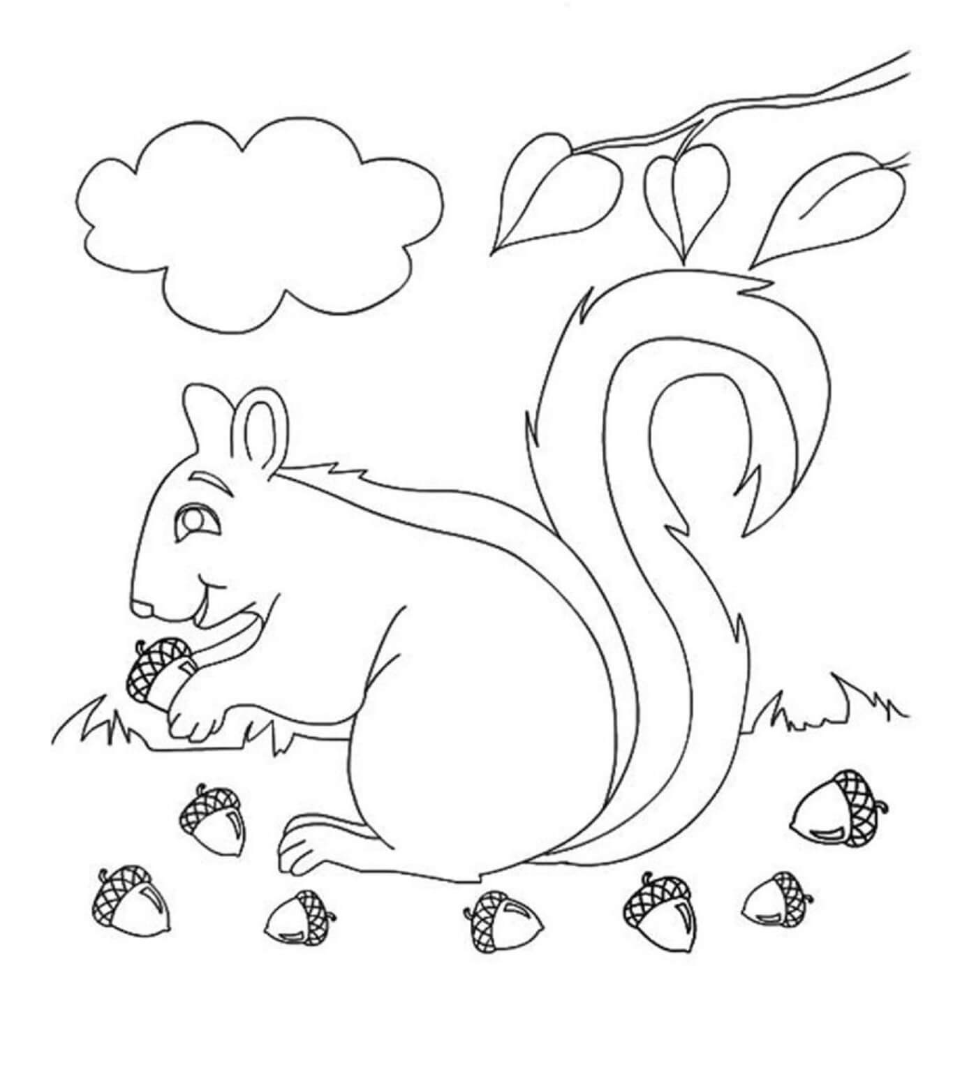 Funny squirrel holding acorn in autumn coloring page