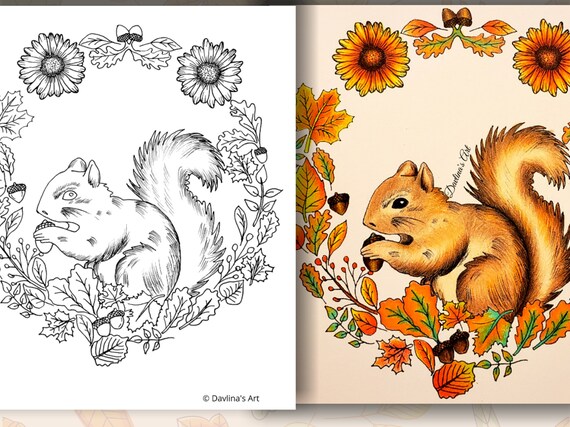 Set of fall printable coloring pages for adults pumpkins autumn leaves chickadee squirrel thanksgiving baskets coloring pages