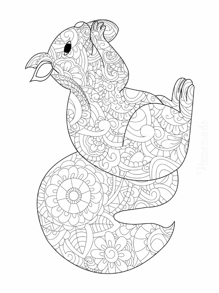 Fall coloring pages patterned squirrel with acorn for adults pdf