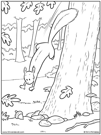 Squirrel coloring page â tims printables