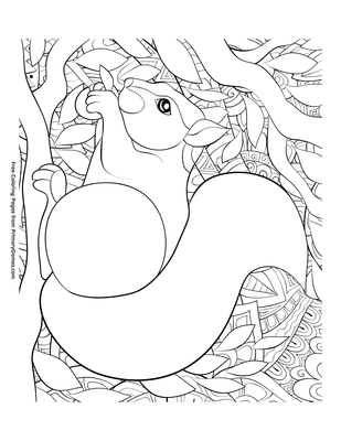 Squirrel in tree coloring page â free printable pdf from