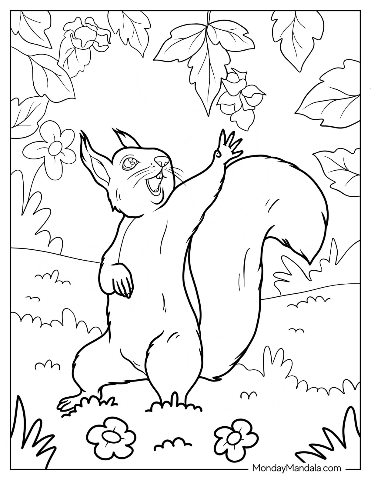 Squirrel coloring pages free pdf printables