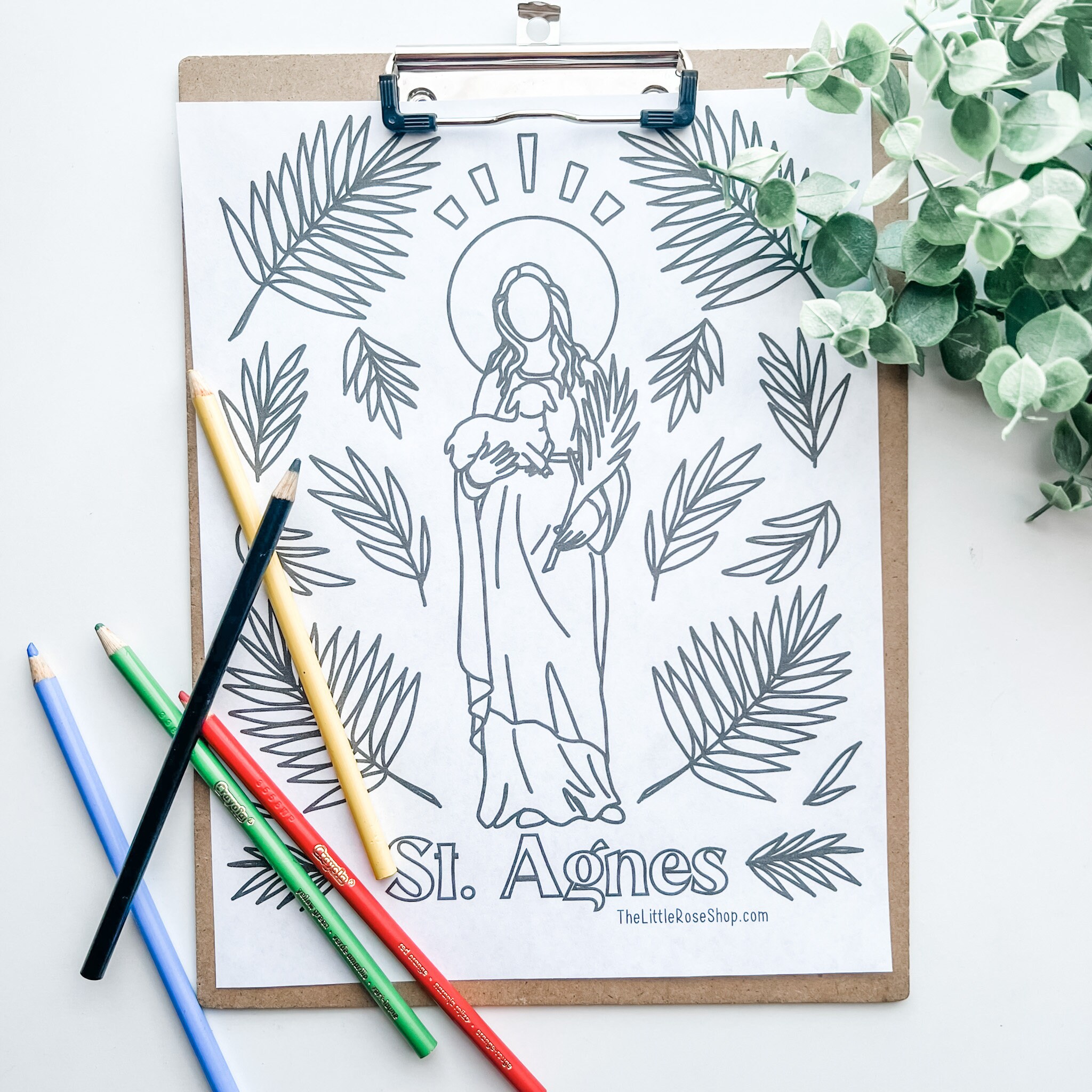 Buy st agnes coloring page printable online in india