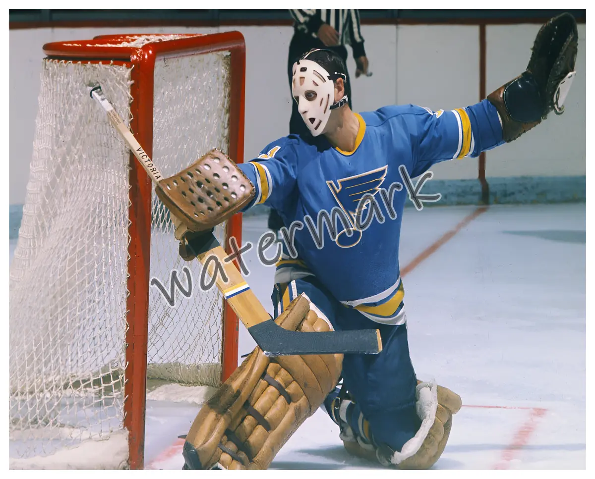 Nhl st louis blues goalie ernie wakely game action color x photo picture