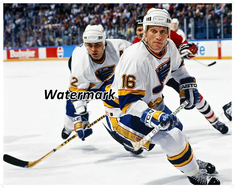 Nhl st louis blues brett hull adam oates game action color x photo picture