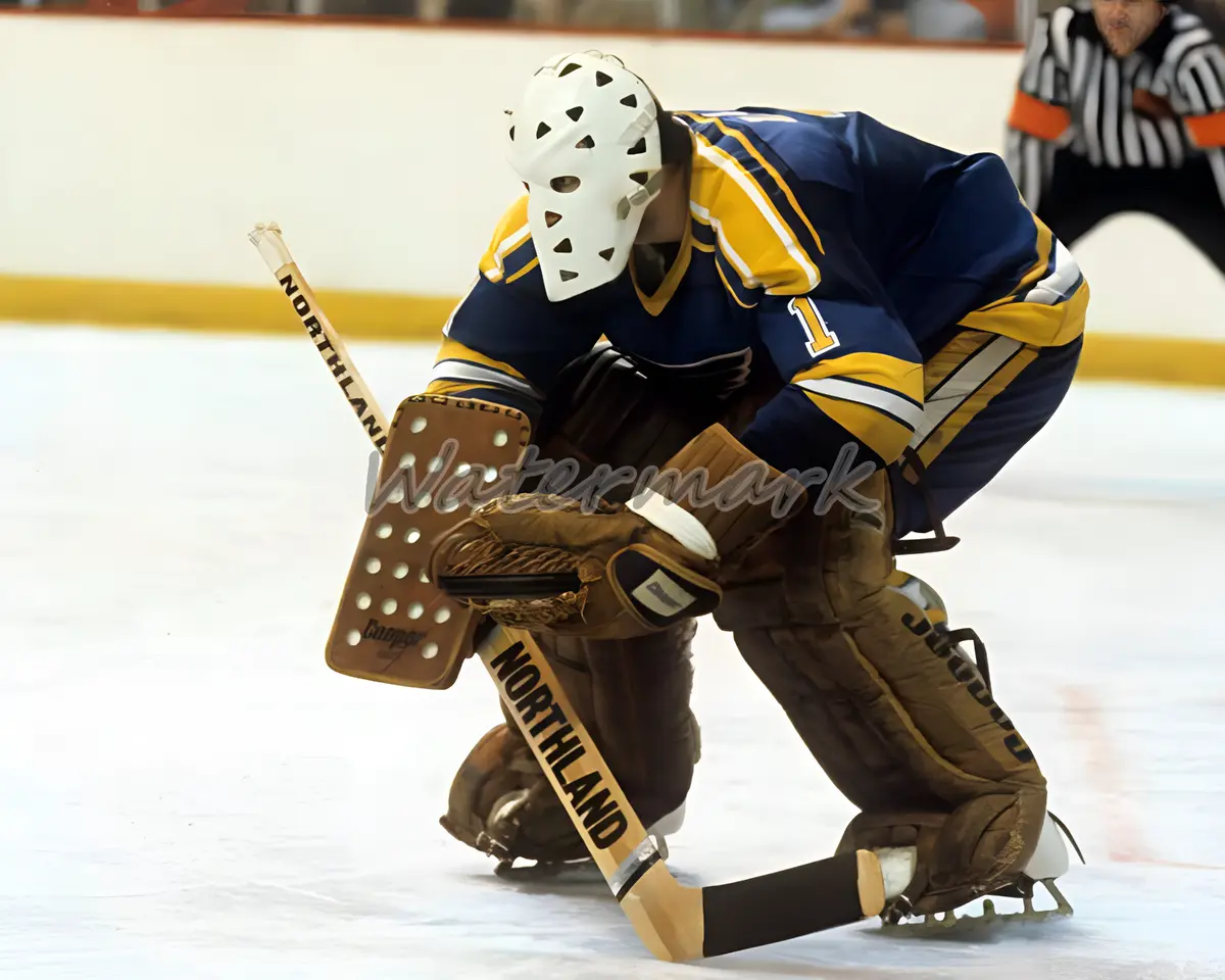 Nhl st louis blues goalie mike liut game action color picture x photo pic