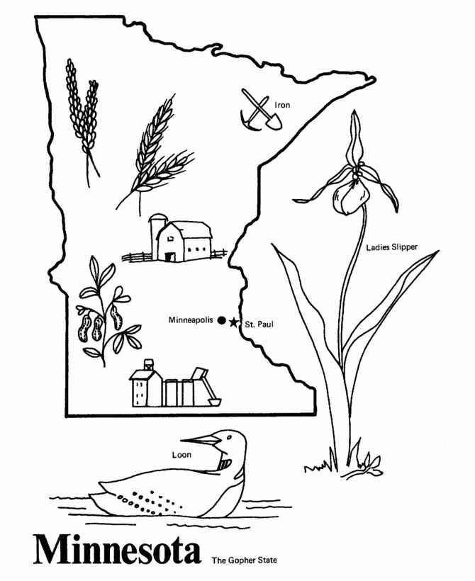 Explore the beauty of minnesota with state coloring pages