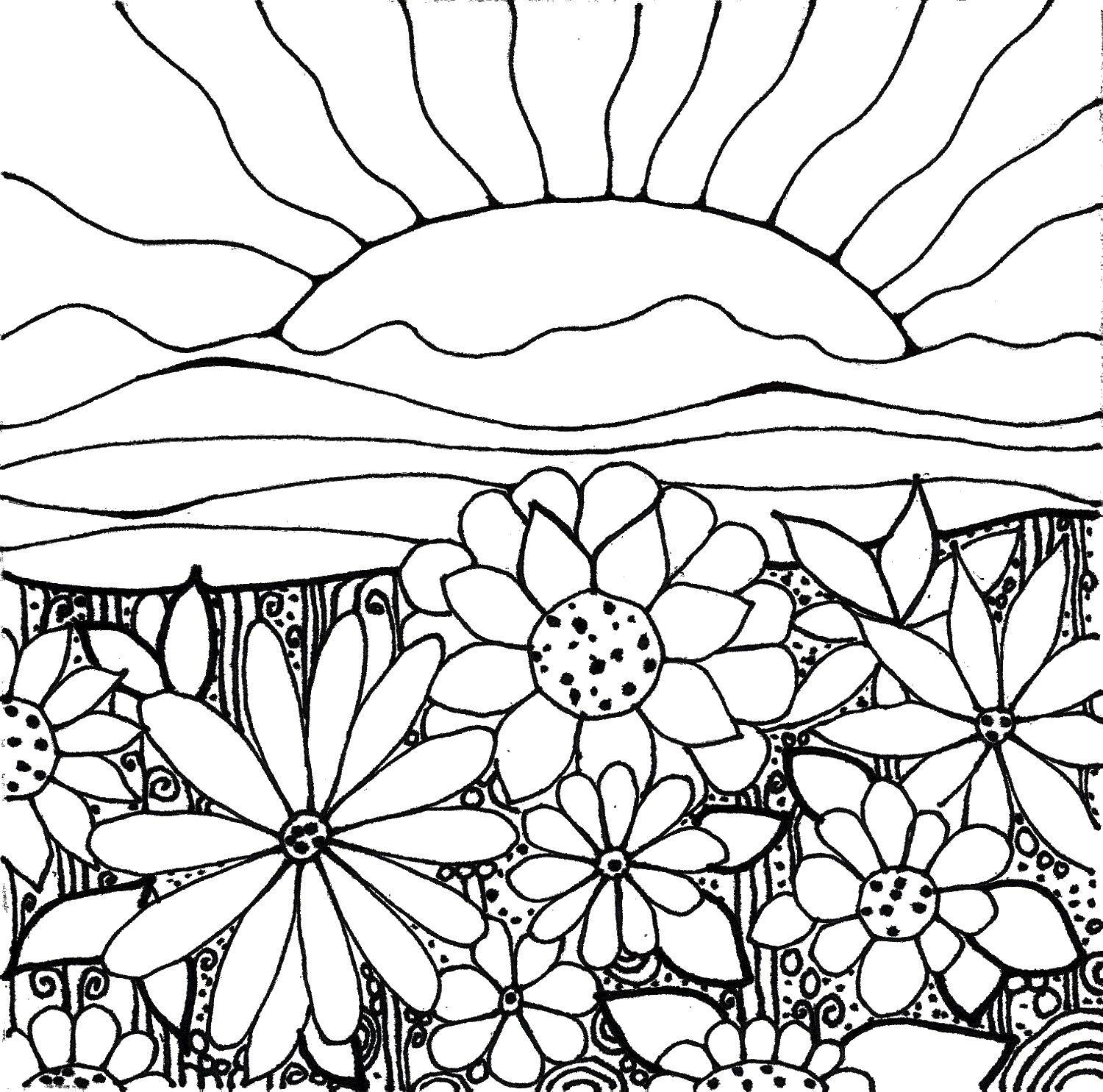 Online coloring pages coloring page sunrise over flowers coloring download print coloring page