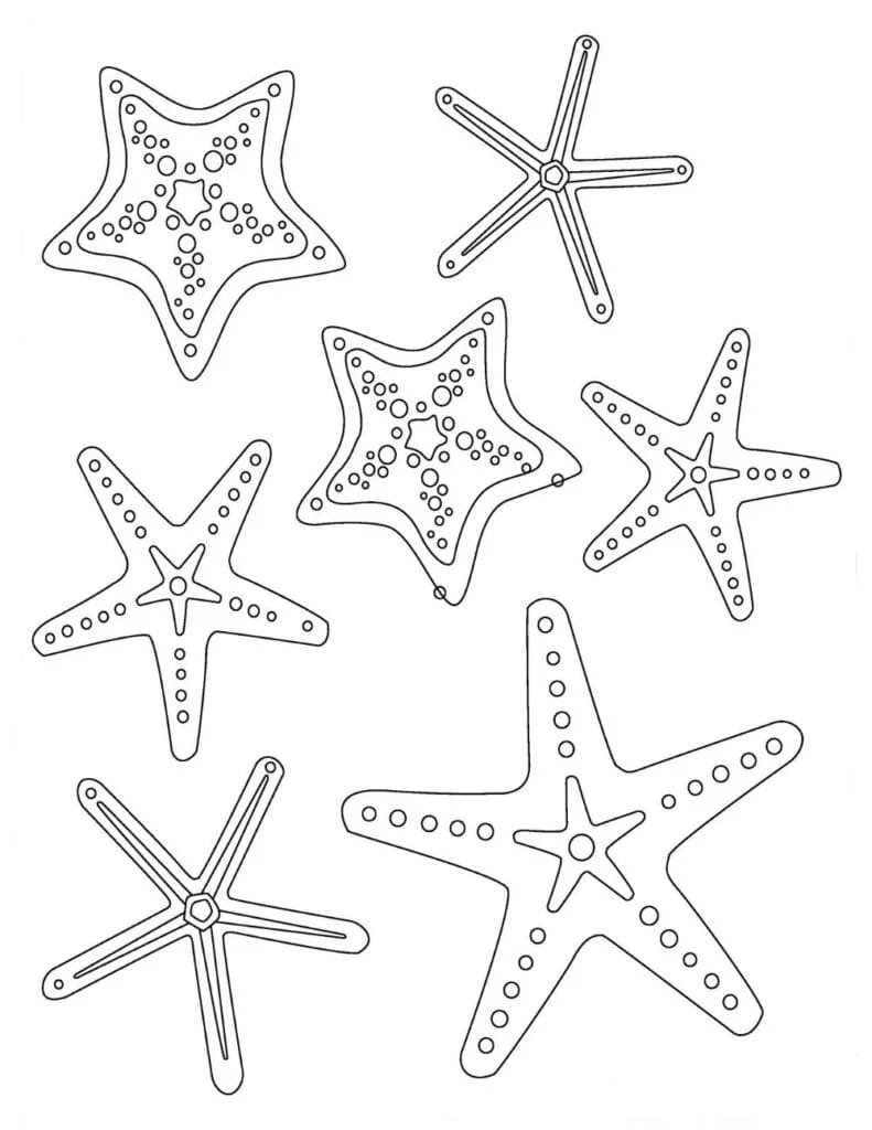Starfish coloring pages printable for free download