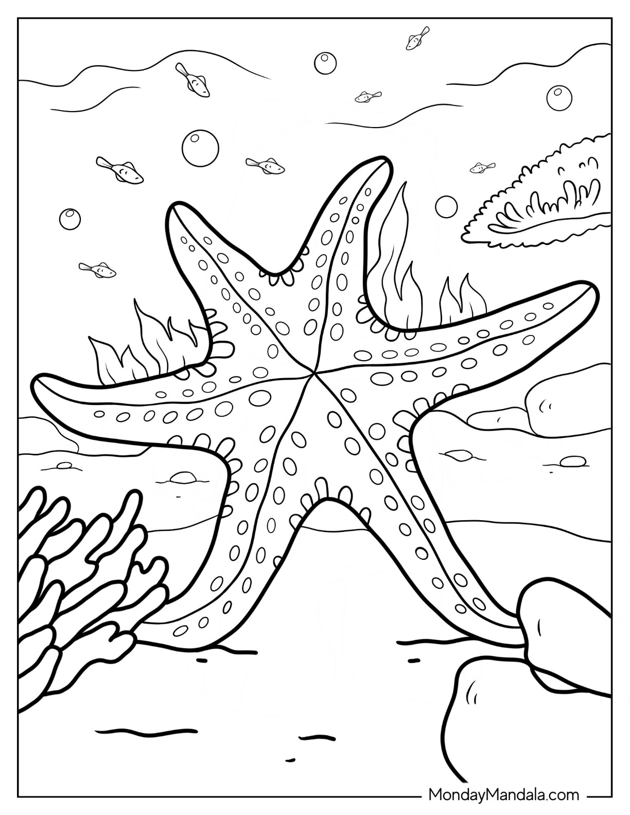 Starfish coloring pages free pdf printables
