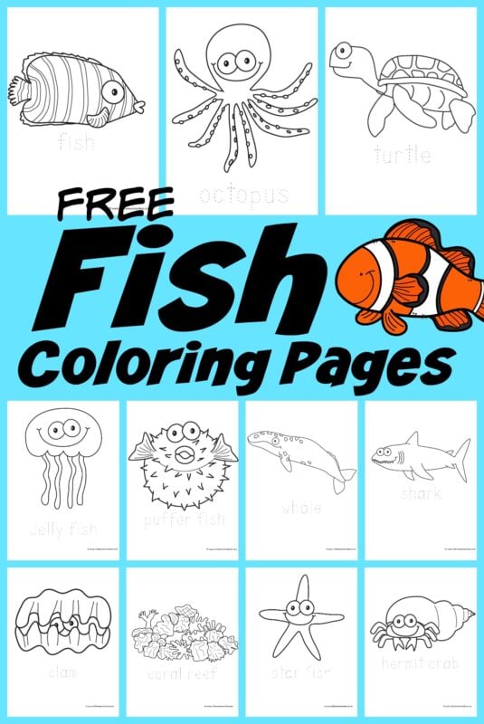 Ð free printable under the sea fish ocean animals coloring pages