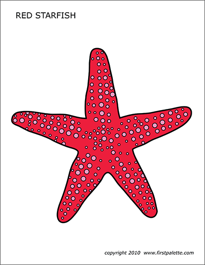 Starfish free printable templates coloring pages