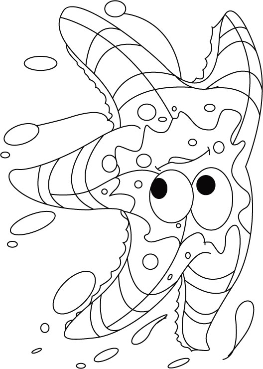 Starfish coloring pages download free starfish coloring pages for kids best coloring pages
