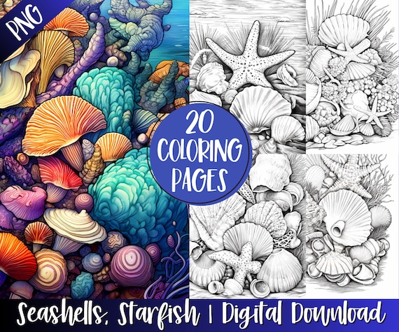 Intricate seashells starfish coloring book pages ocean grayscale coloring pages instant digital download printable art coloring sheets