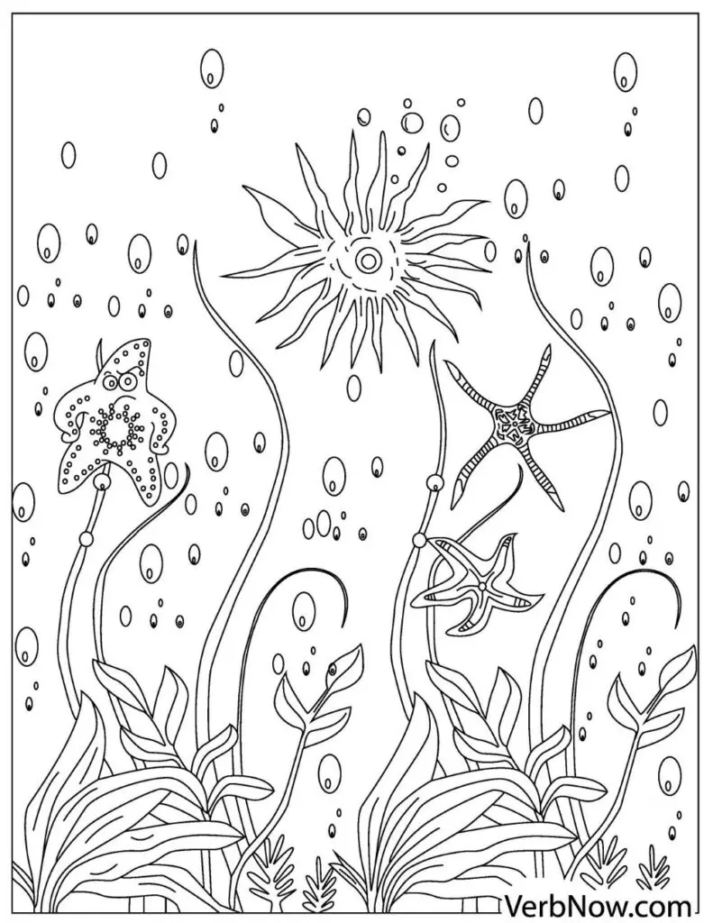 Free starfish coloring pages for download printable pdf
