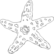 Starfish coloring pages free coloring pages