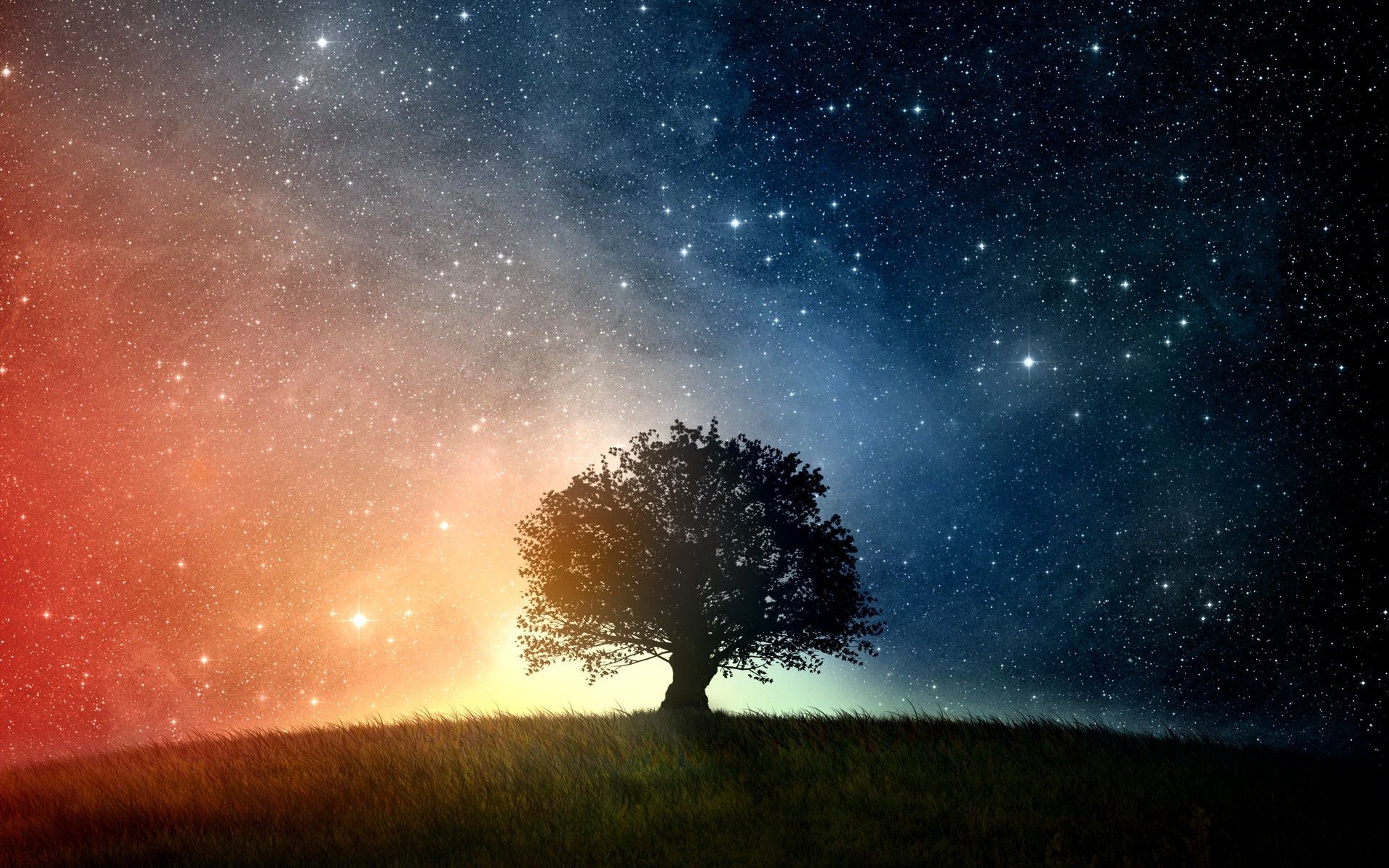 Trees and stars wallpapers