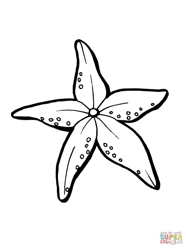 Realistic starfish coloring page free printable coloring pages coloring pages mermaid coloring pages fish coloring page