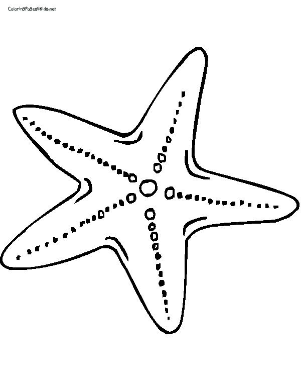 Free star fish coloring page paint with glue then sprinkle with oatmeal for texture fish coloring page coloring pages art projects for adults