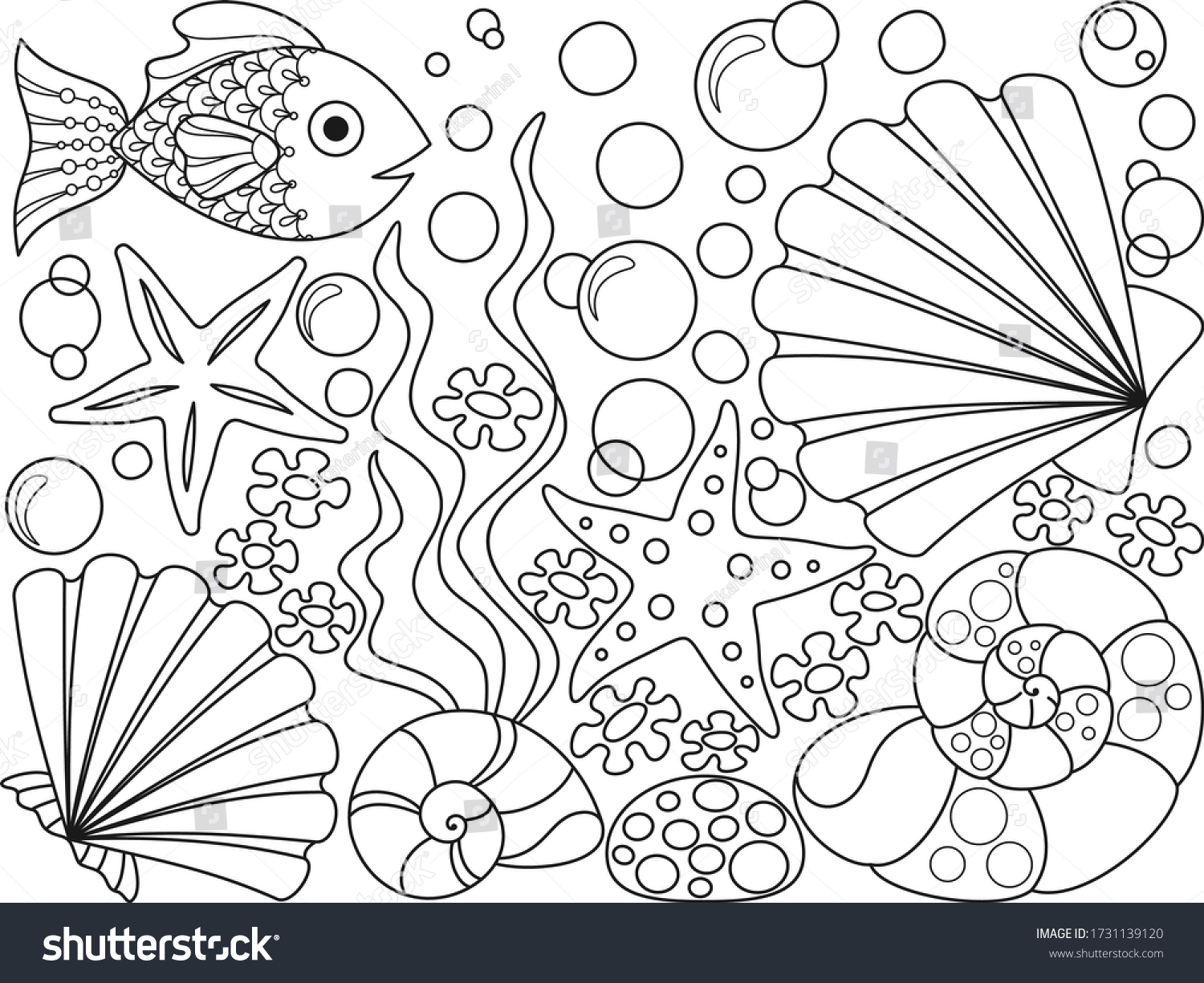 Coloring page seashells starfish seaweed bubbles stock vector royalty free