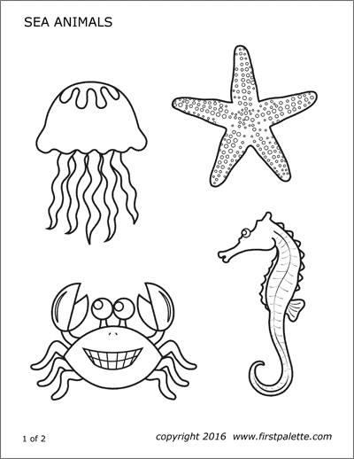 Starfish free printable templates coloring pages