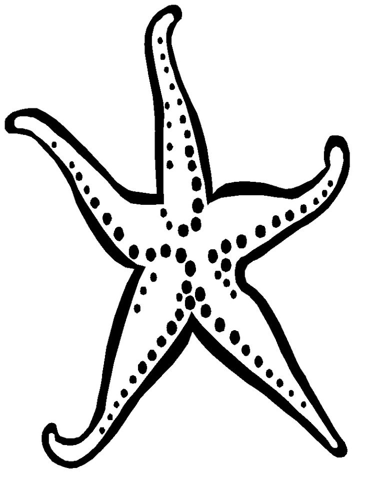 Free printable starfish coloring pages for kids coloring pages for kids fish coloring page star coloring pages