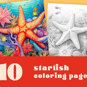 Starfish coloring