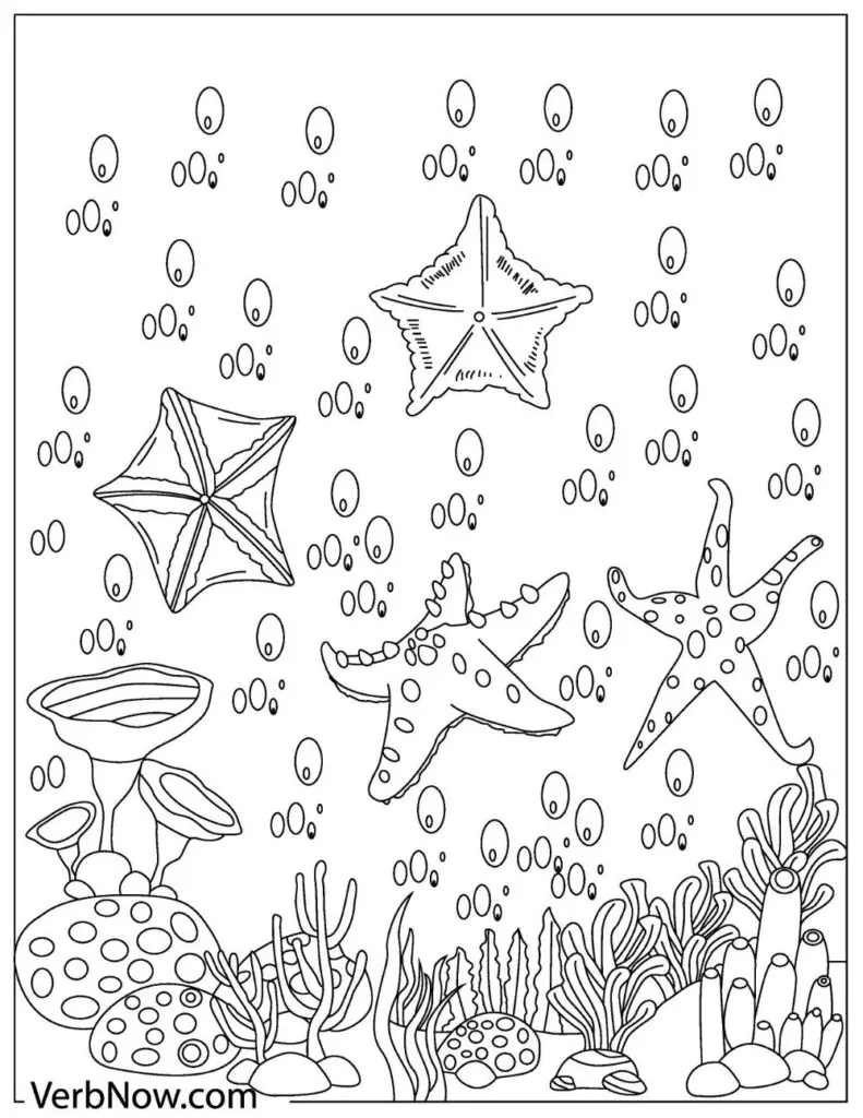 Free starfish coloring pages for download printable pdf