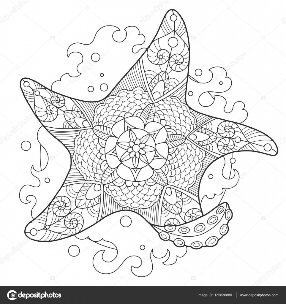 Starfish coloring book for adults vector stock vector by alexanderpokusay