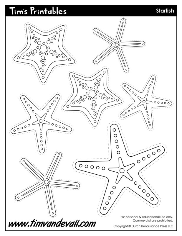 Starfish template â tims printables