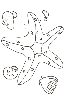 Star fish coloring sheets