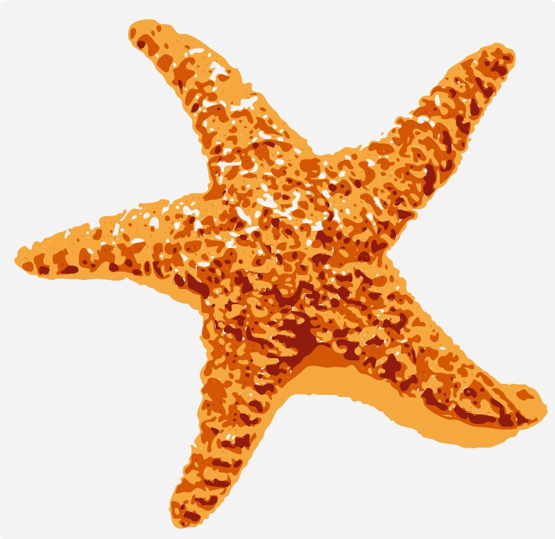 Starfish stencil in layers