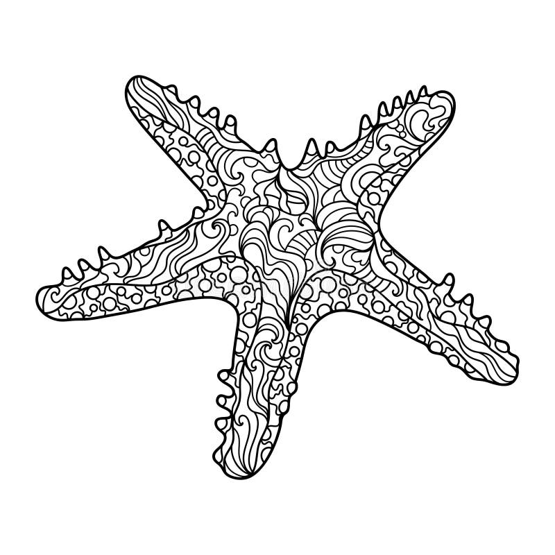 Starfish coloring book for adults vector stock vector