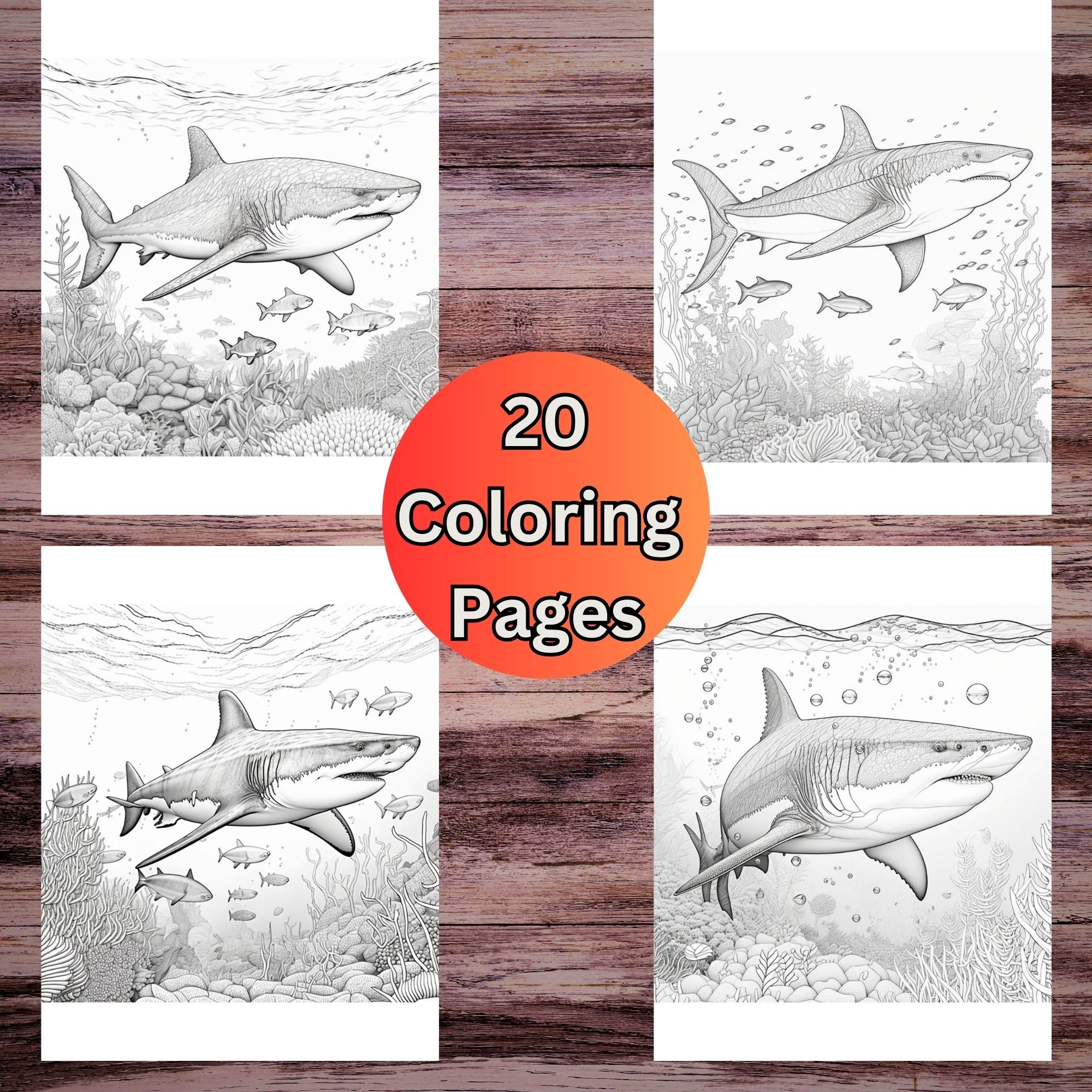 Realistic shark coloring pages for adults ocean life coloring book ocean coloring aquatic coloring pages ocean reef coloring page