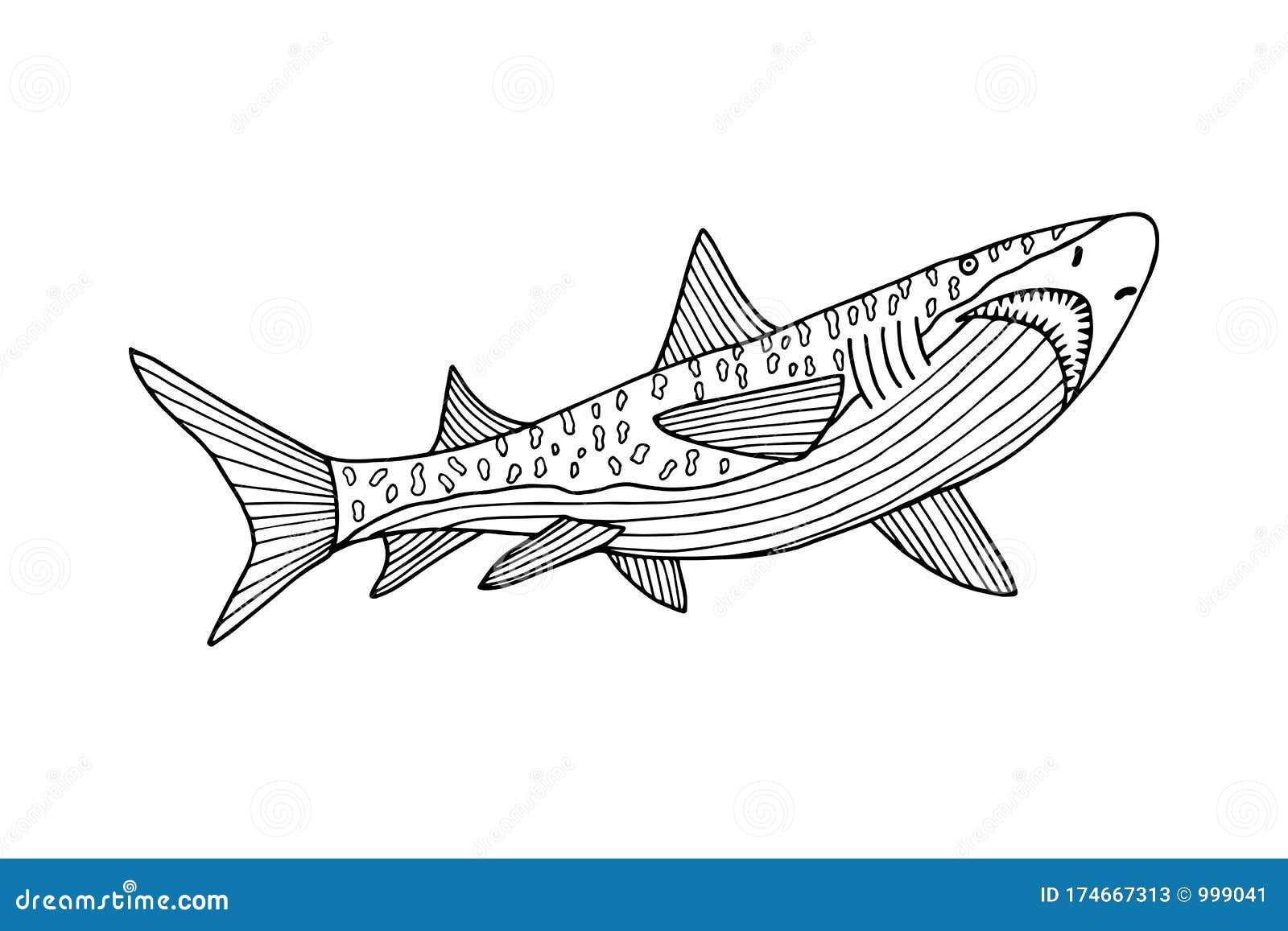 Shark coloring book stock illustrations â shark coloring book stock illustrations vectors clipart