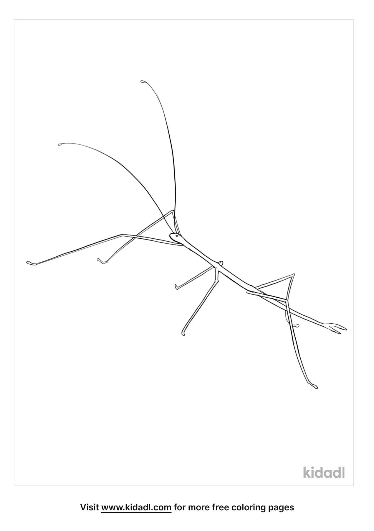 Free stick insect coloring page coloring page printables