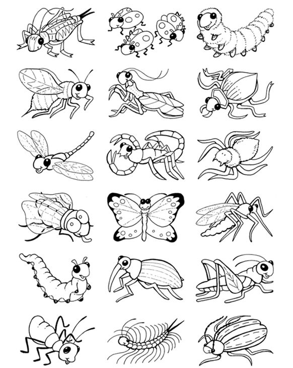 Wele to dover publications insect coloring pages bug coloring pages coloring pages